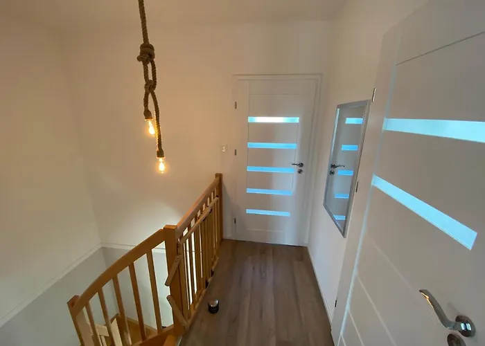 Dino * トシェンサチ