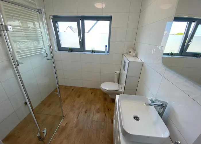 Dino トシェンサチ